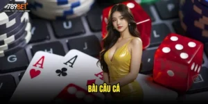 bài câu cá