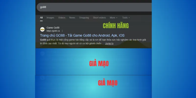 Cách chọn miền Go88 đúng – chỉ go88.com và go88.ca 3 Khi nào nên tránh các trang khác